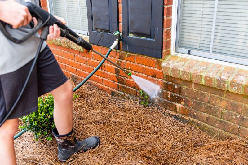 Brick Power Washing in Spring