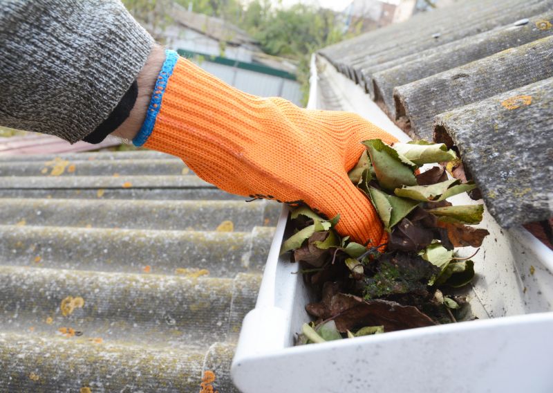 Gutter Clearing