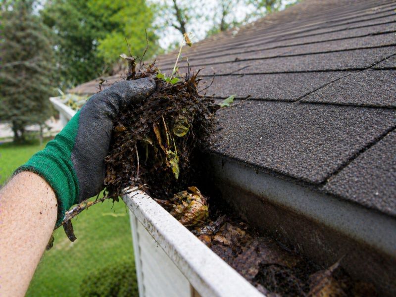 Gutter Leaf Clearing in Monmouth County, NJ